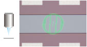 S20.png